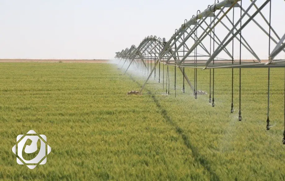 إضافة مليون ونصف مليون دونم للخطة الزراعية بفضل الري الحديث