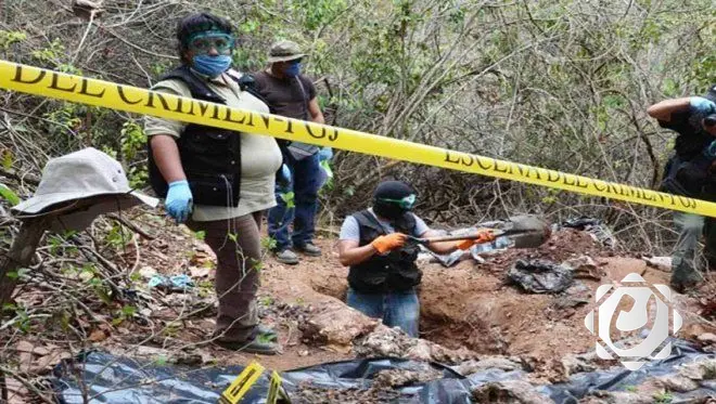 مكسيكو: اكتشاف مقبرة جماعية جديدة تضم 24 جثة في غوادالاخارا