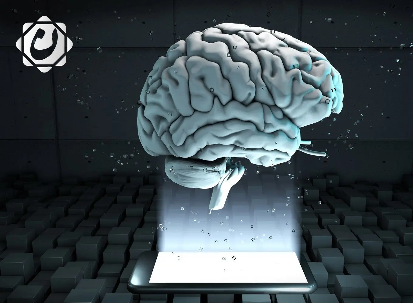 دراسة جديدة تكشف عن اختلافات في بنية الدماغ لدى الأطفال المصابين بالتوحد