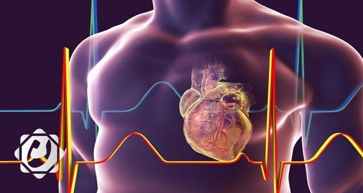 الفئات الأكثر عرضة للنوبات القلبية: تعرف على المخاطر