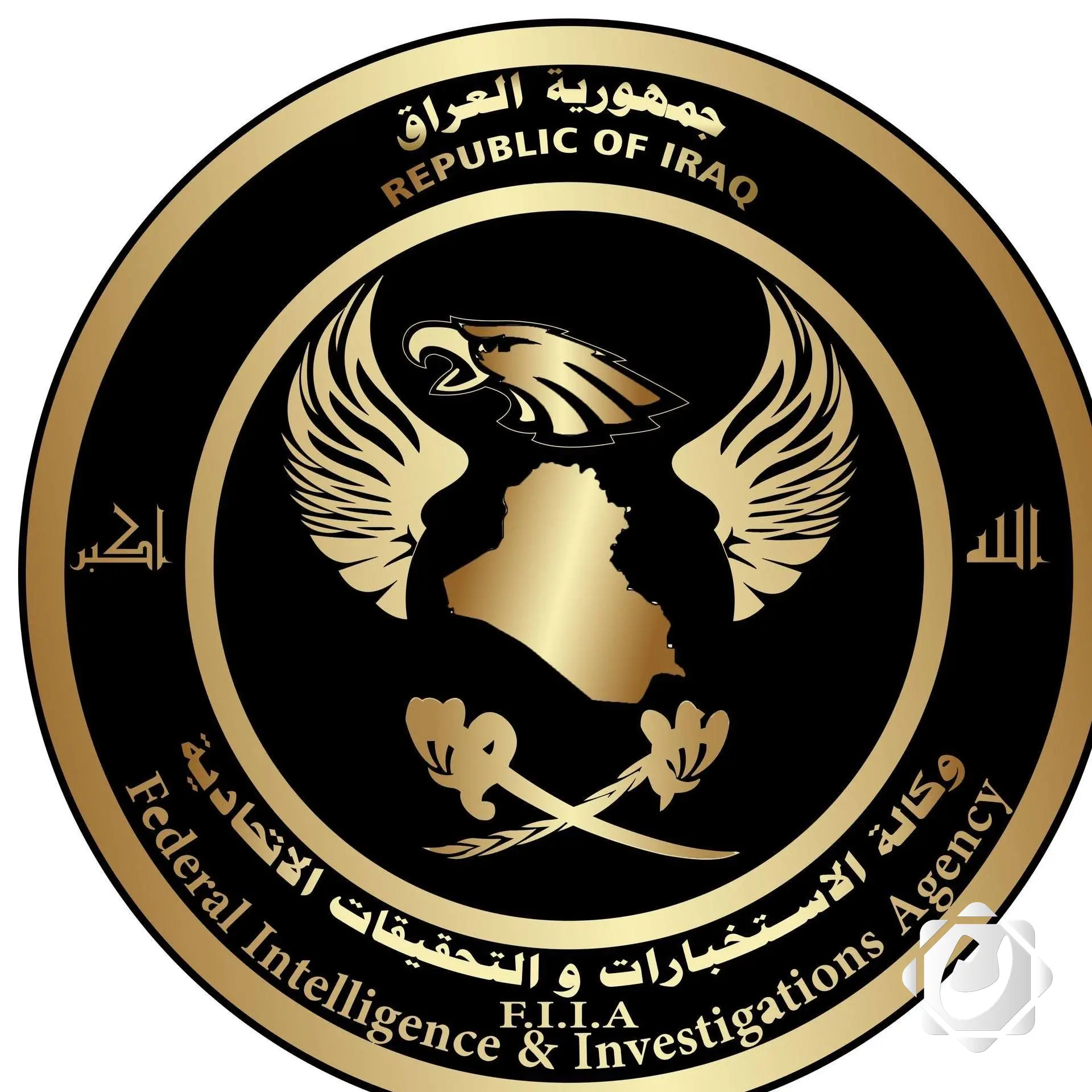 الإطاحة بعصابة متخصصة في الاتجار بالأعضاء البشرية في بغداد