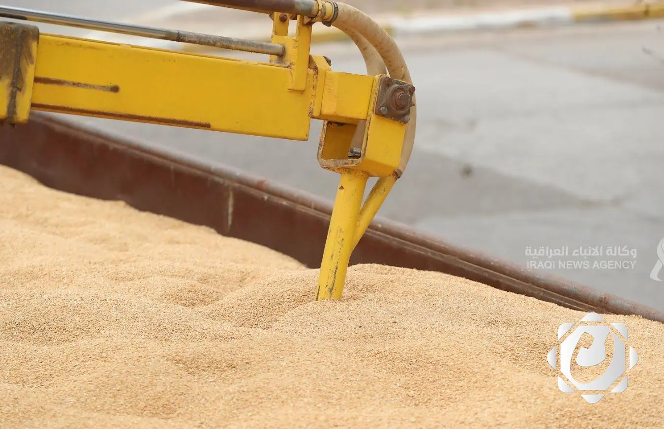 التجارة تكشف عن خزين الحنطة: 4 ملايين طن استعداداً لموسم التسويق