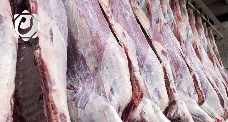 وزارة الزراعة تكشف عن أعداد المخالفين لشروط الجزر في 2024