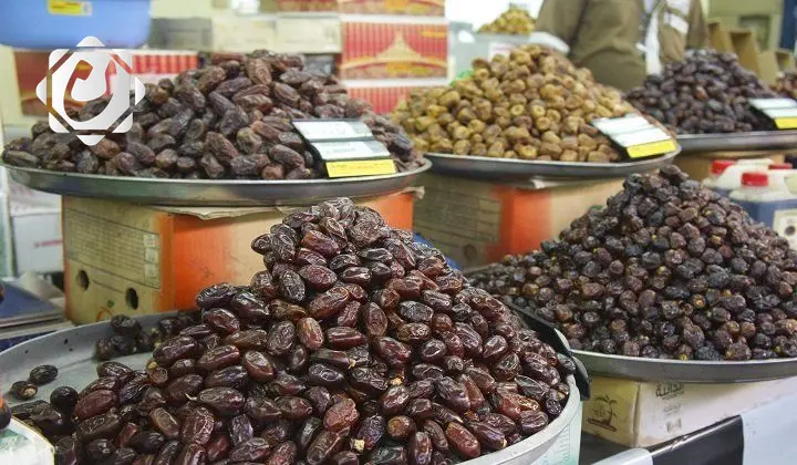 وزارة الزراعة تعلن خطة طموحة لزيادة إنتاج التمور وتوسيع أسواق التصدير