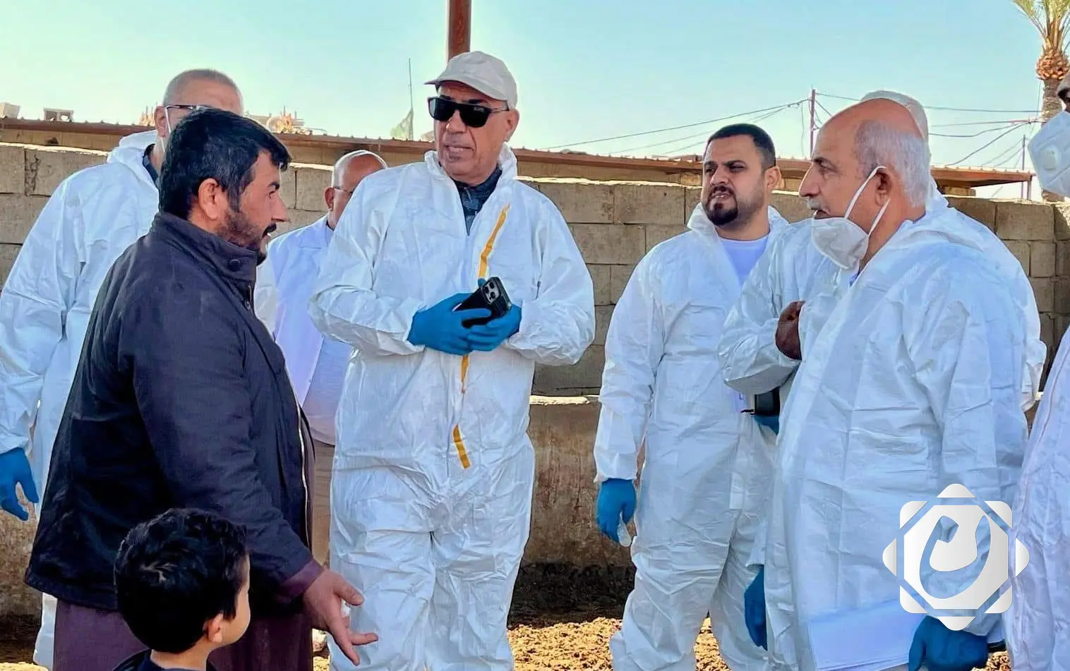 وزارة الزراعة توضح تفاصيل إصابة الجاموس بمرض الحمى القلاعية في بغداد