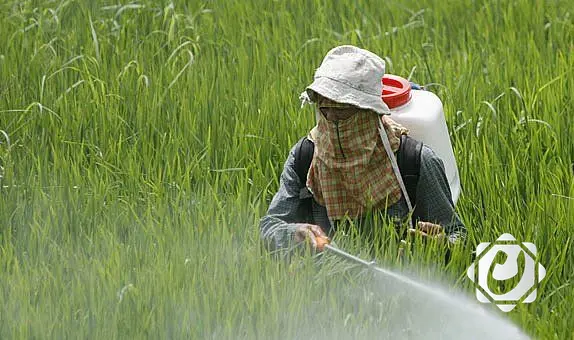 تحذيرات من تأثير المبيدات الحشرية على البيئة: أكثر من 800 نوع مهدد