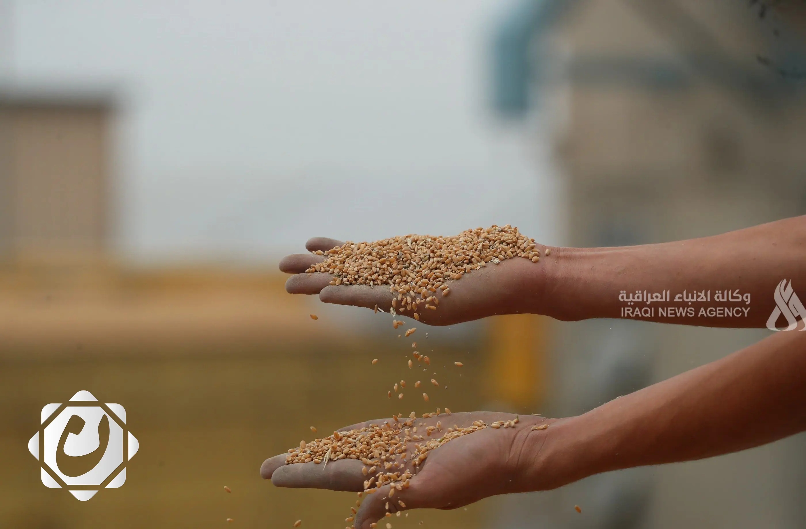 وزارة الزراعة تحقق إنجازاً بنسبة 90% في الخطة الشتوية مع إنتاجية مرتفعة