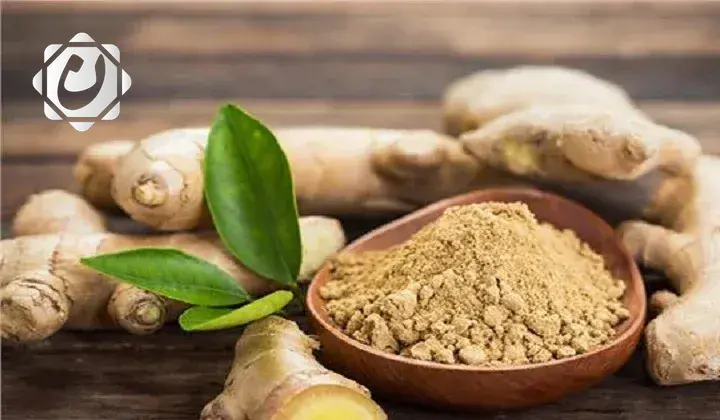 مركب طبيعي من الزنجبيل يفتح آفاق جديدة لعلاج الالتهابات المعوية