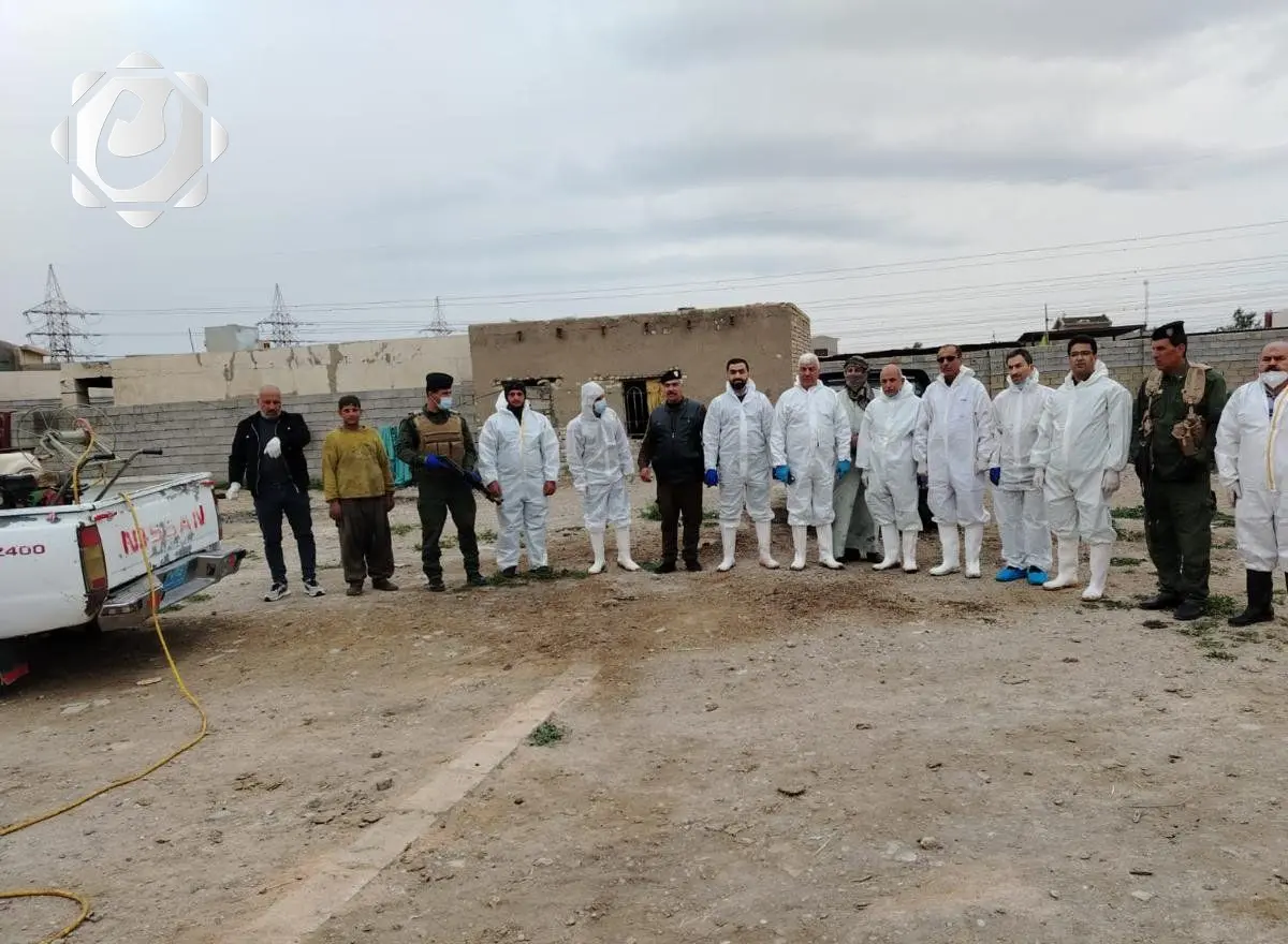الزراعة تعزز جهودها لمكافحة الحمى القلاعية في بغداد