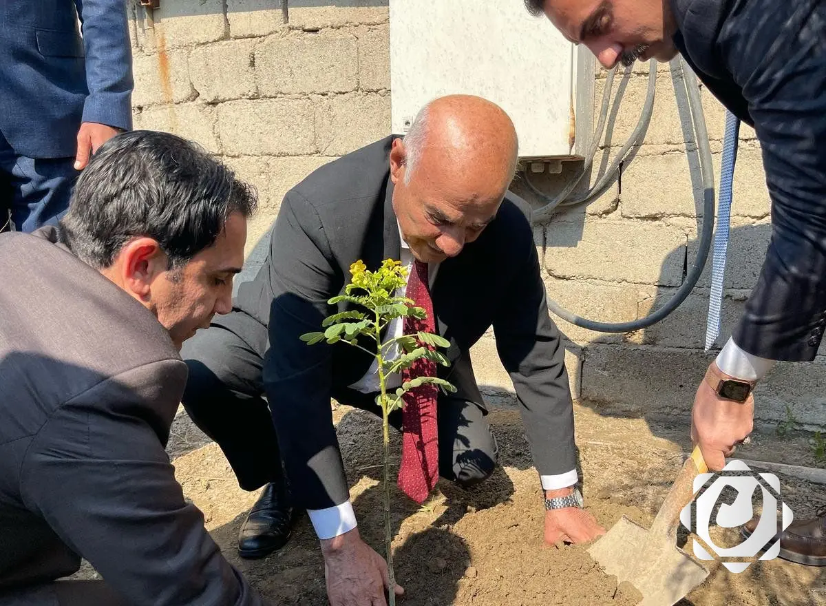 البصرة تعزز جهود التشجير لمكافحة التلوث البيئي