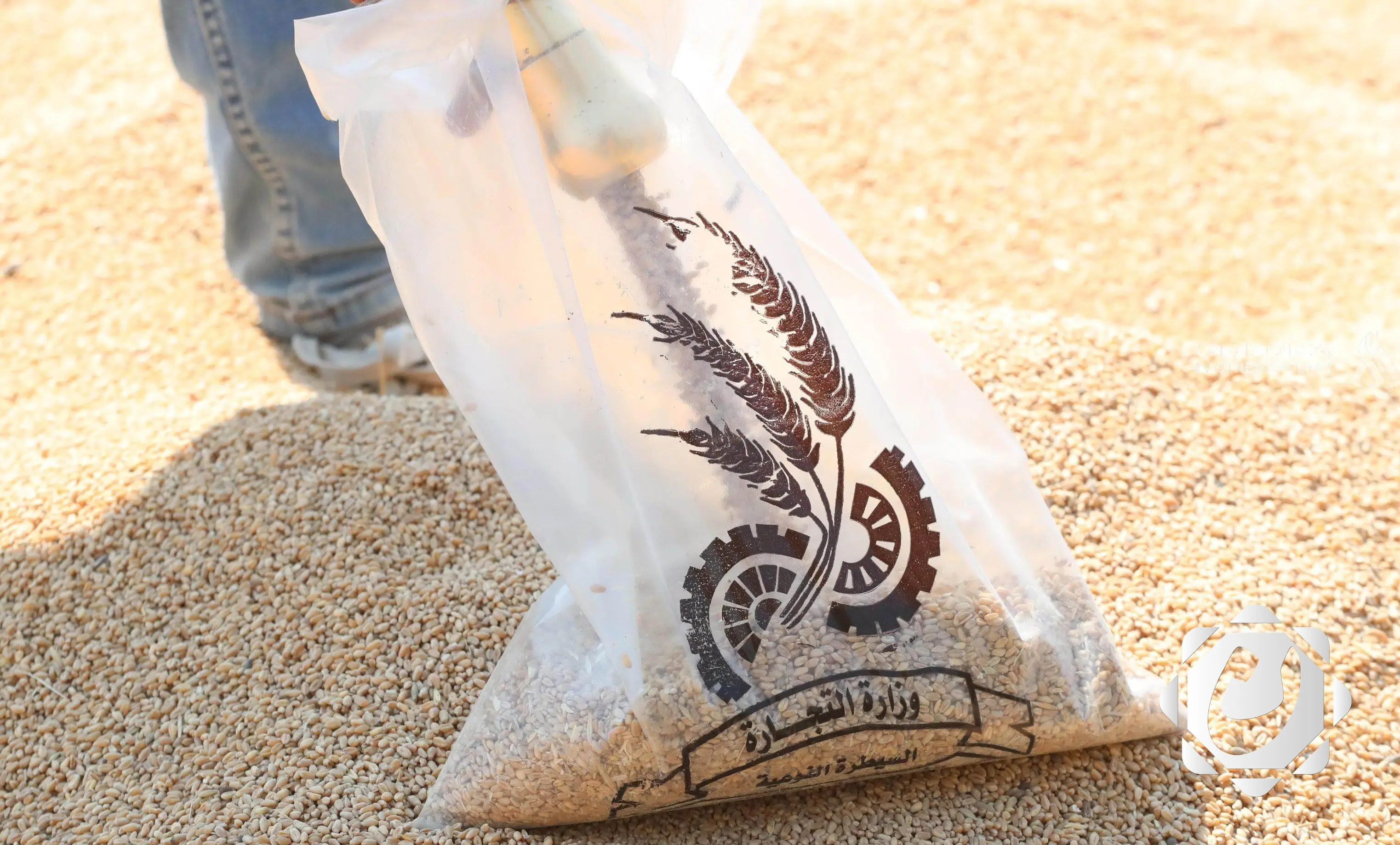 استراتيجية جديدة لتطوير إنتاج الطحين: 200 بنكر وسايلوات في خمس محافظات