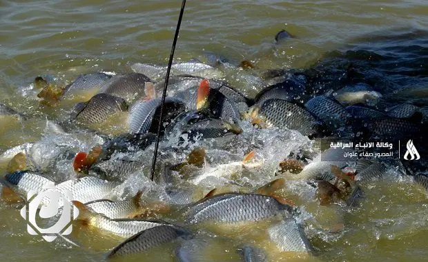 الزراعة تطلق آلية جديدة لحماية الثروة السمكية عبر منع الصيد بمواعيد محددة