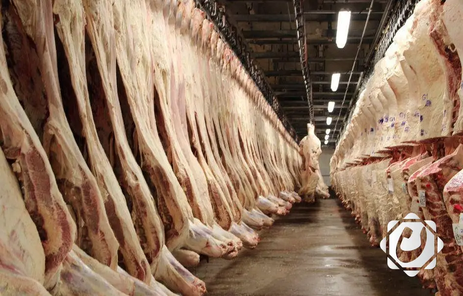 إجراءات مشددة لضمان سلامة اللحوم في المجازر العراقية