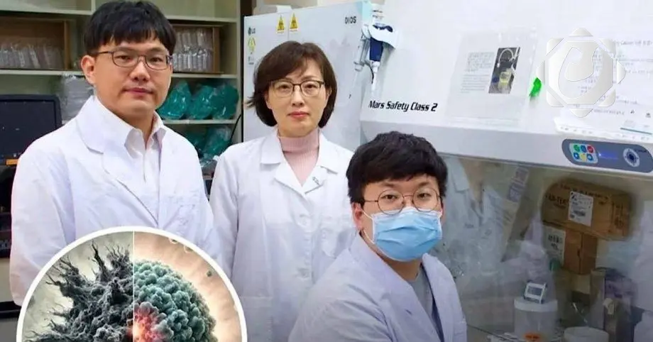 ابتكار صيني جديد في علاج السرطان باستخدام بكتيريا معدلة وراثياً