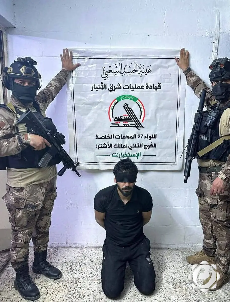 الحشد الشعبي ينجح في القبض على عنصر من داعش في الأنبار