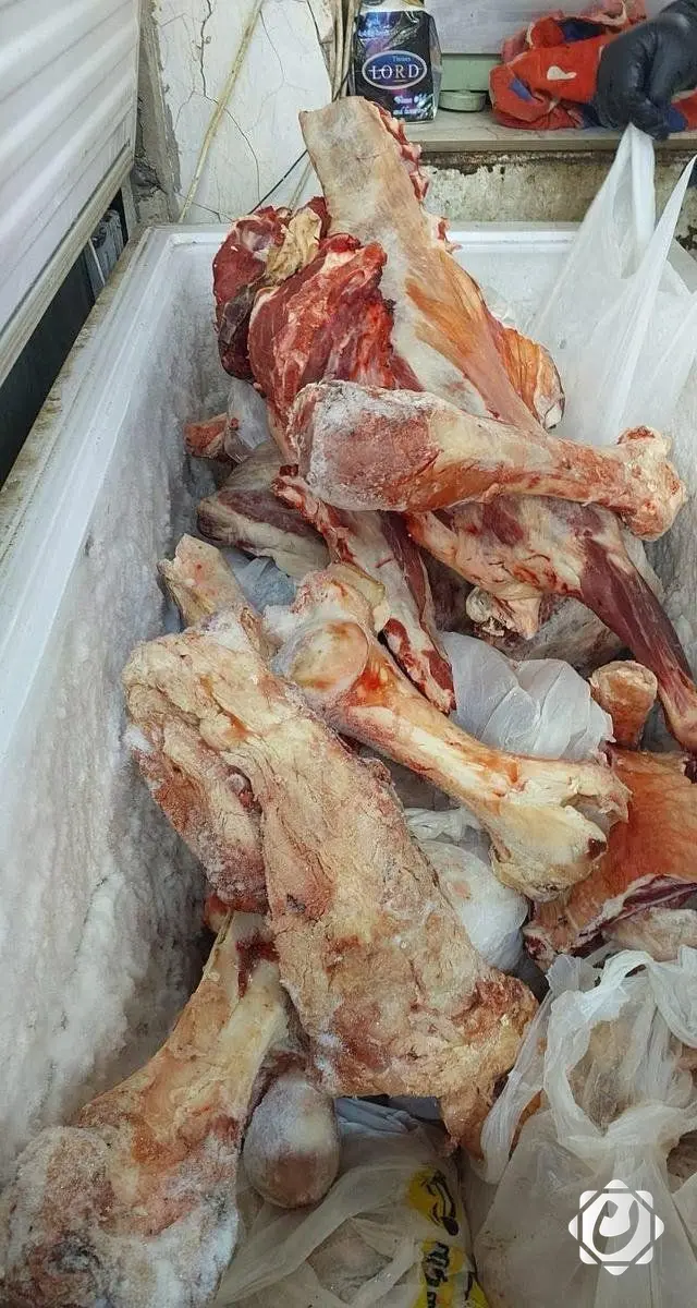 ضبط كميات من اللحوم المنتهية الصلاحية في بغداد وإحباط تهريب نخالة
