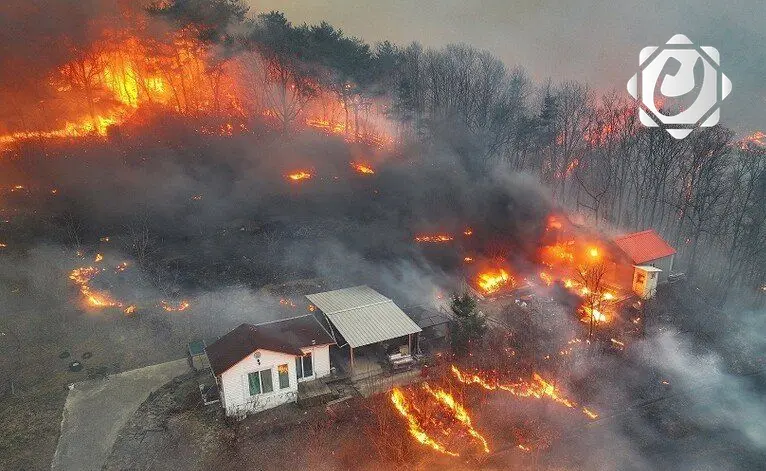 حرائق الغابات في كوريا الجنوبية: جهود السيطرة تتراجع وسط تحديات الطقس