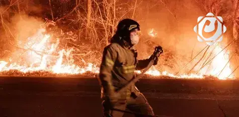 كوريا الجنوبية تواجه كارثة حرائق غابات تودي بحياة 18 شخصاً