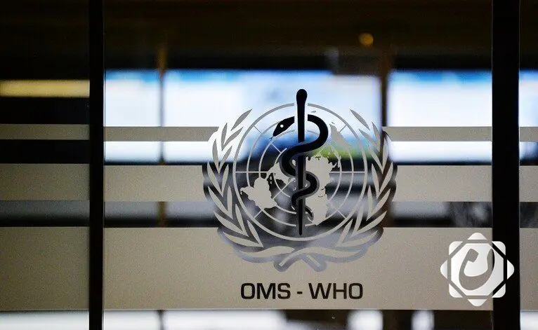 الصحة العالمية: ارتفاع إصابات ووفيات الكوليرا بنسبة 50% في 2024