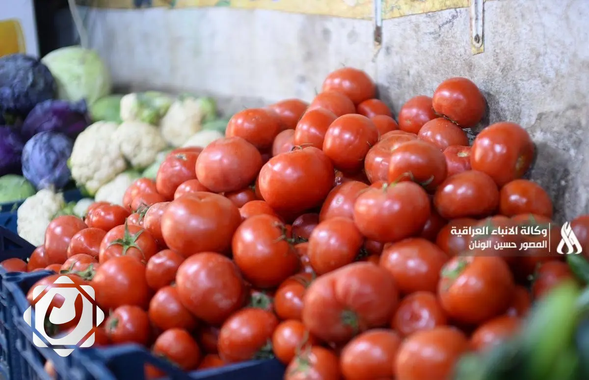 نجاحات وزارة الزراعة في تأمين المحاصيل وتعزيز الأسواق المحلية
