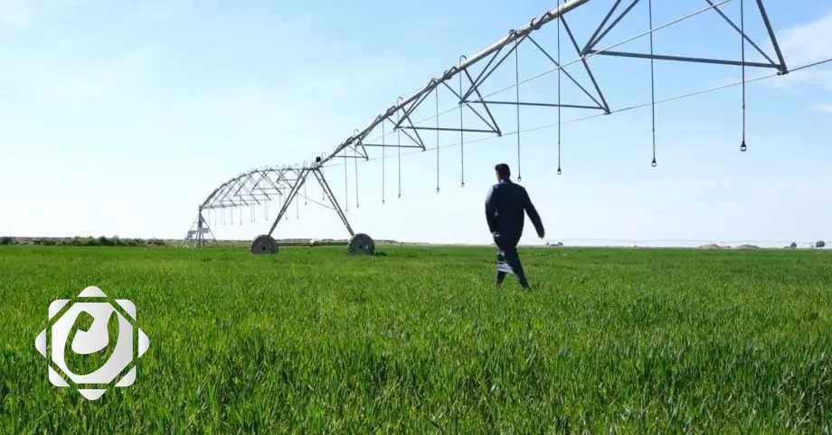 وزارة الزراعة تعلن عن خطة لاستصلاح 3.5 مليون دونم من الأراضي الصحراوية في 2025