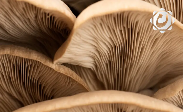 اكتشاف مادة كيميائية مرّة تفتح آفاق جديدة في علم التذوق