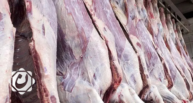 منصة إلكترونية جديدة لاستيراد اللحوم لمواجهة ارتفاع الأسعار