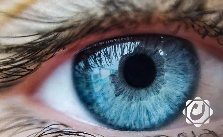 دراسة جديدة تكشف العلاقة بين التنفس وحركة الحدقة