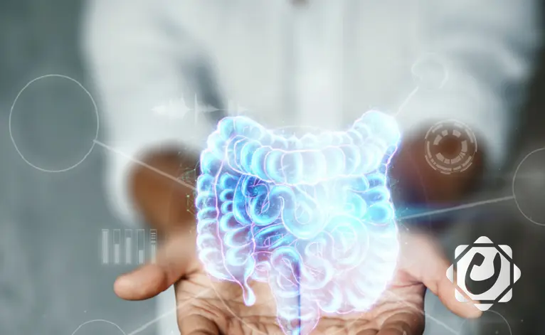 نظام غذائي غني بالألياف: درع واقٍ ضد الالتهابات المعوية