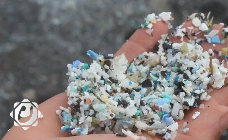 دراسة جديدة: أوراق النباتات قادرة على امتصاص الجسيمات البلاستيكية من الهواء