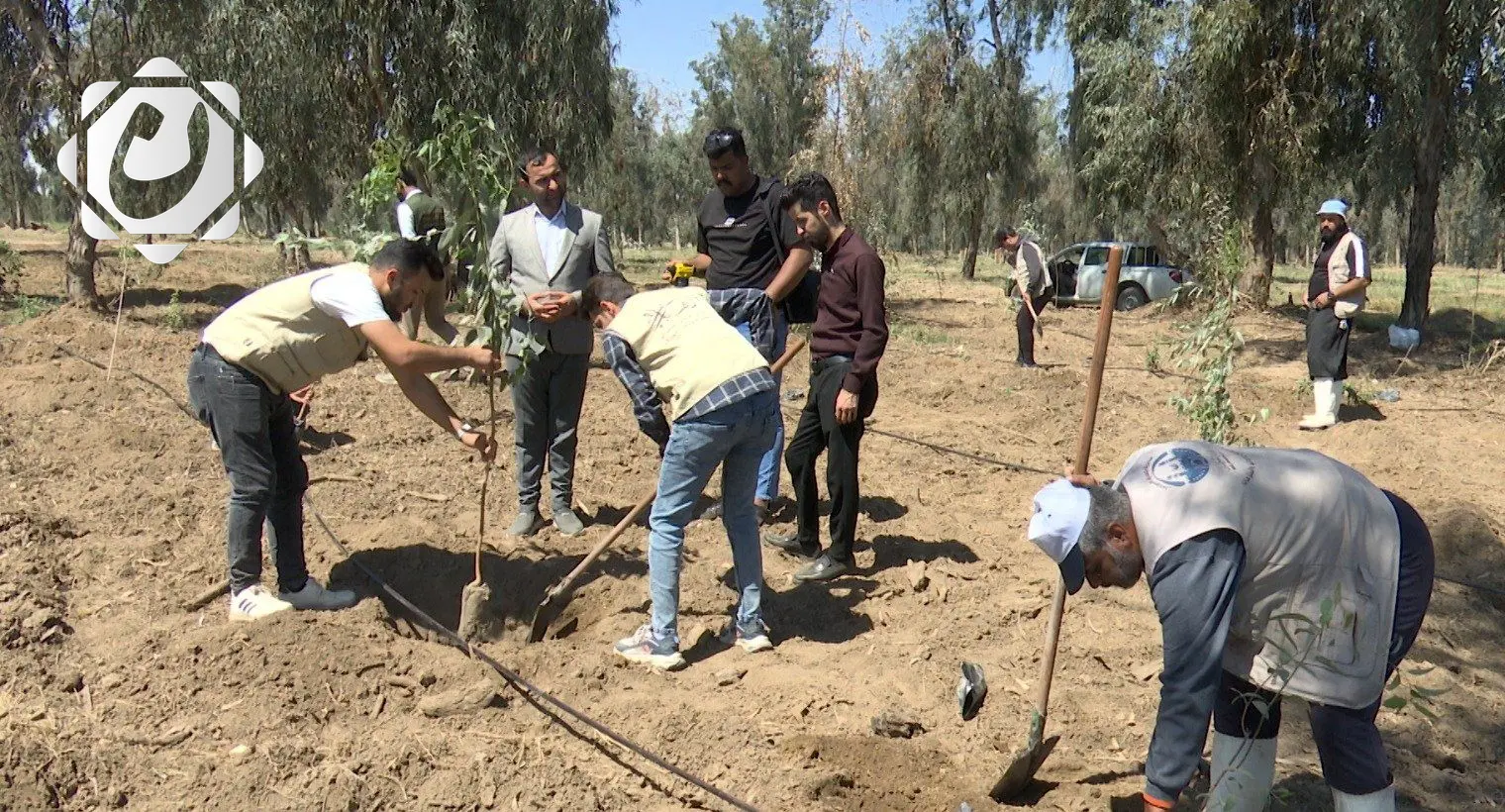 حملة زراعة 15 ألف شجرة في نينوى لتعزيز المساحات الخضراء
