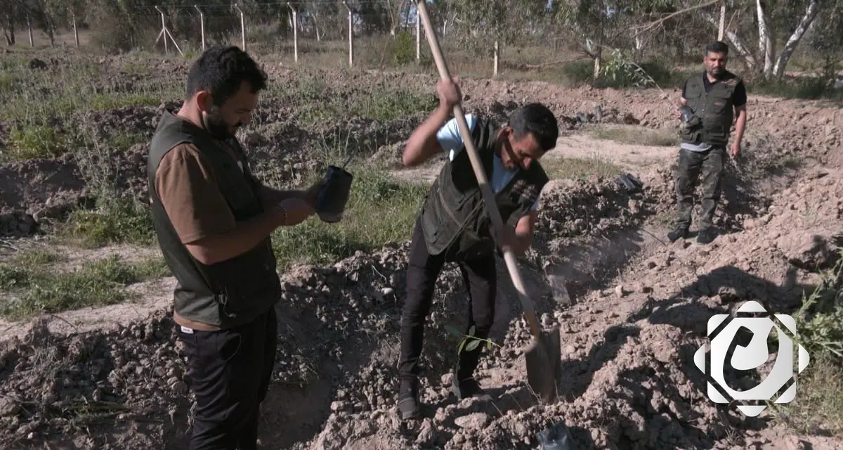 مبادرة شبابية تُعزز الغطاء الأخضر في ديالى بزراعة 500 شتلة