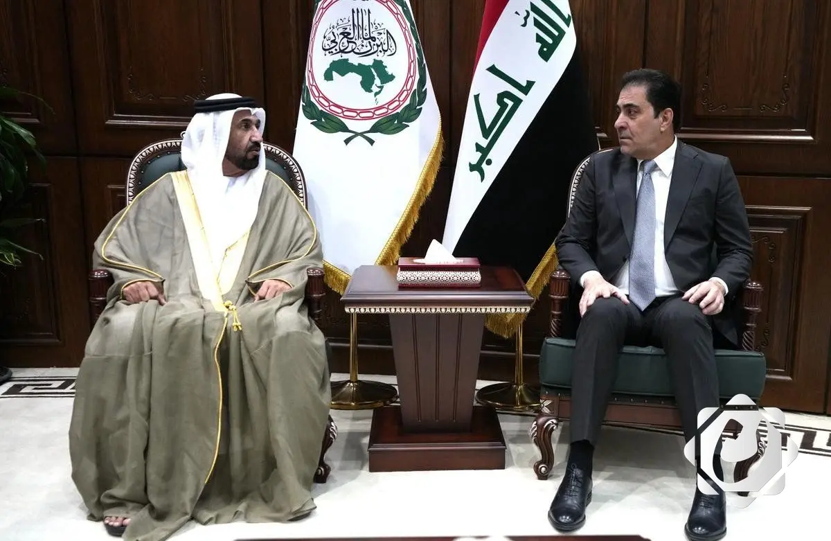 المندلاوي يحذر من تأثير الأزمات الإقليمية على الأمن القومي العربي