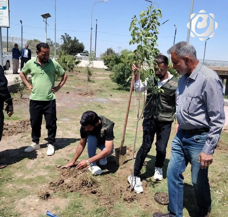 حملة وطنية في ميسان لزراعة 1000 شجرة لتعزيز المساحات الخضراء