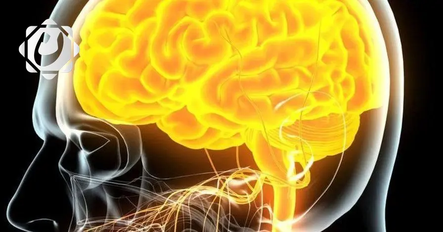 دراسة جديدة تؤكد فوائد التكنولوجيا على صحة الدماغ