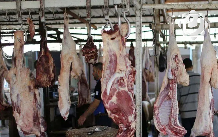 حملات تفتيشية مكثفة لمكافحة الجزر العشوائي للماشية في العراق