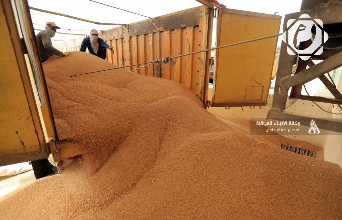 خطط وزارة الزراعة لتحقيق الاكتفاء الذاتي من الحنطة في البصرة