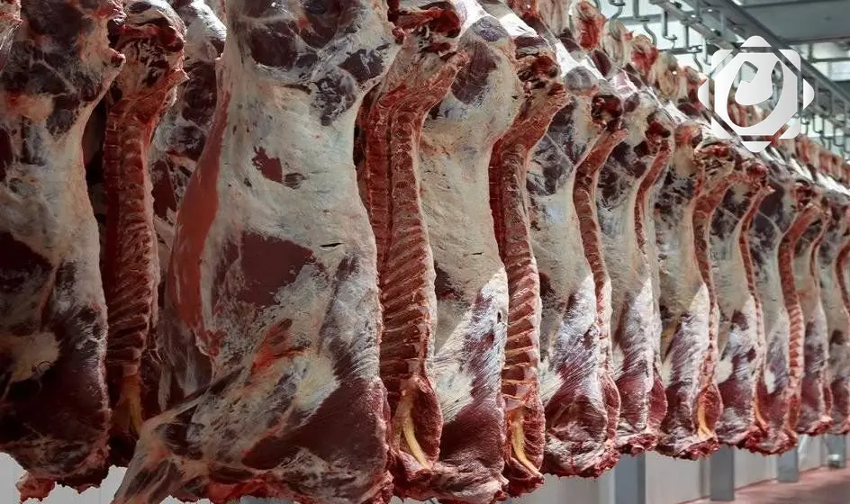 شروط جديدة لاستيراد اللحوم لتعزيز الإنتاج المحلي