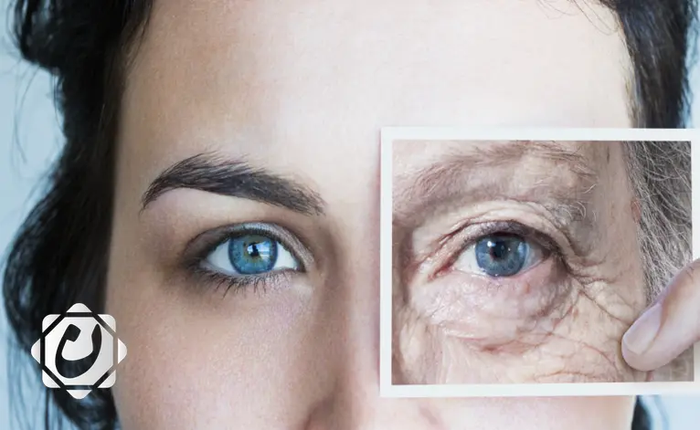 اكتشاف علمي يتيح إعادة شباب الخلايا باستخدام مكون غذائي بسيط