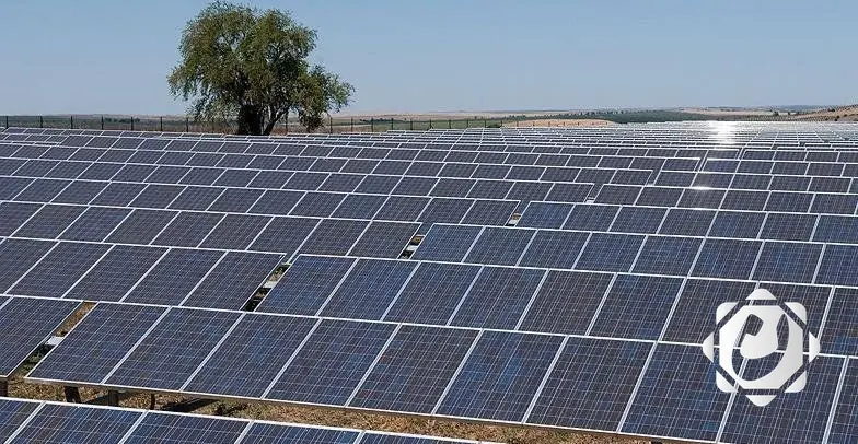 خطط الفريق الوطني للطاقة المتجددة: رؤية مستقبلية متكاملة