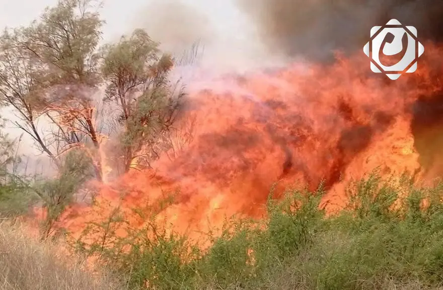 تحقيقات جارية لكشف ملابسات حريق المصدات الخضراء في ذي قار