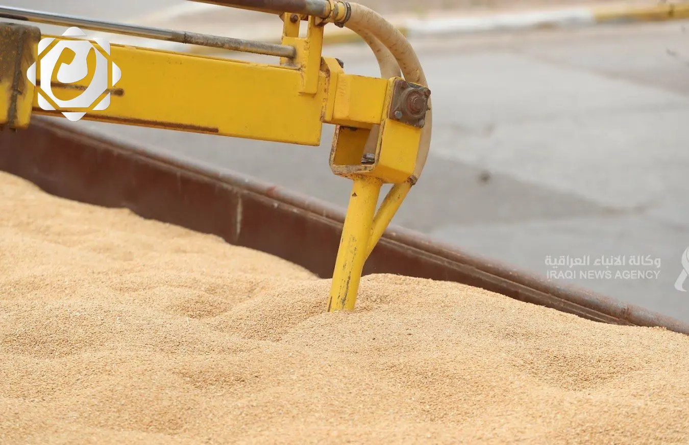 انطلاق موسم حصاد الحنطة في الأنبار بمستهدف 450 ألف طن