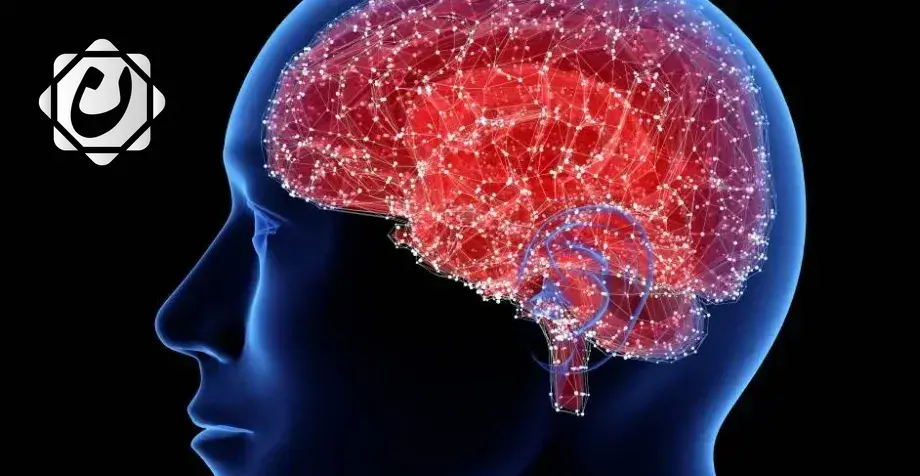 أطباء يحذرون من مخاطر ارتجاج الدماغ: علامات دقيقة يجب مراقبتها