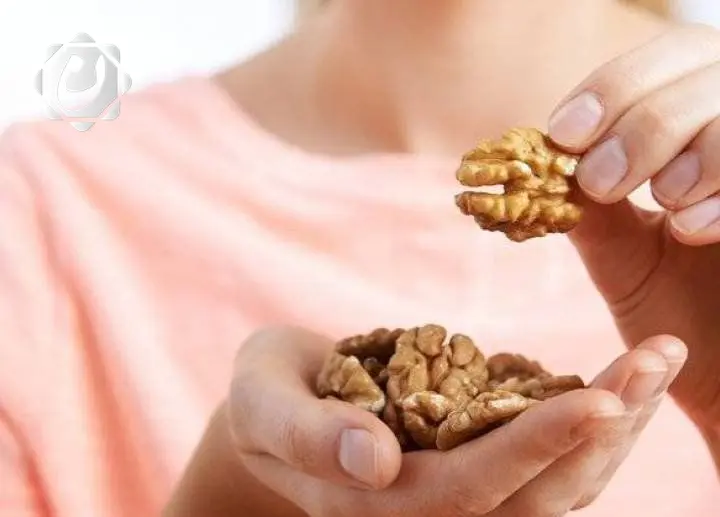 تناول الجوز في الفطور يعزز سرعة رد الفعل المعرفي