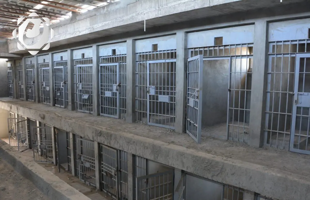 وزارة العدل توضح حول الفيديوهات المتداولة لنزلاء السجون