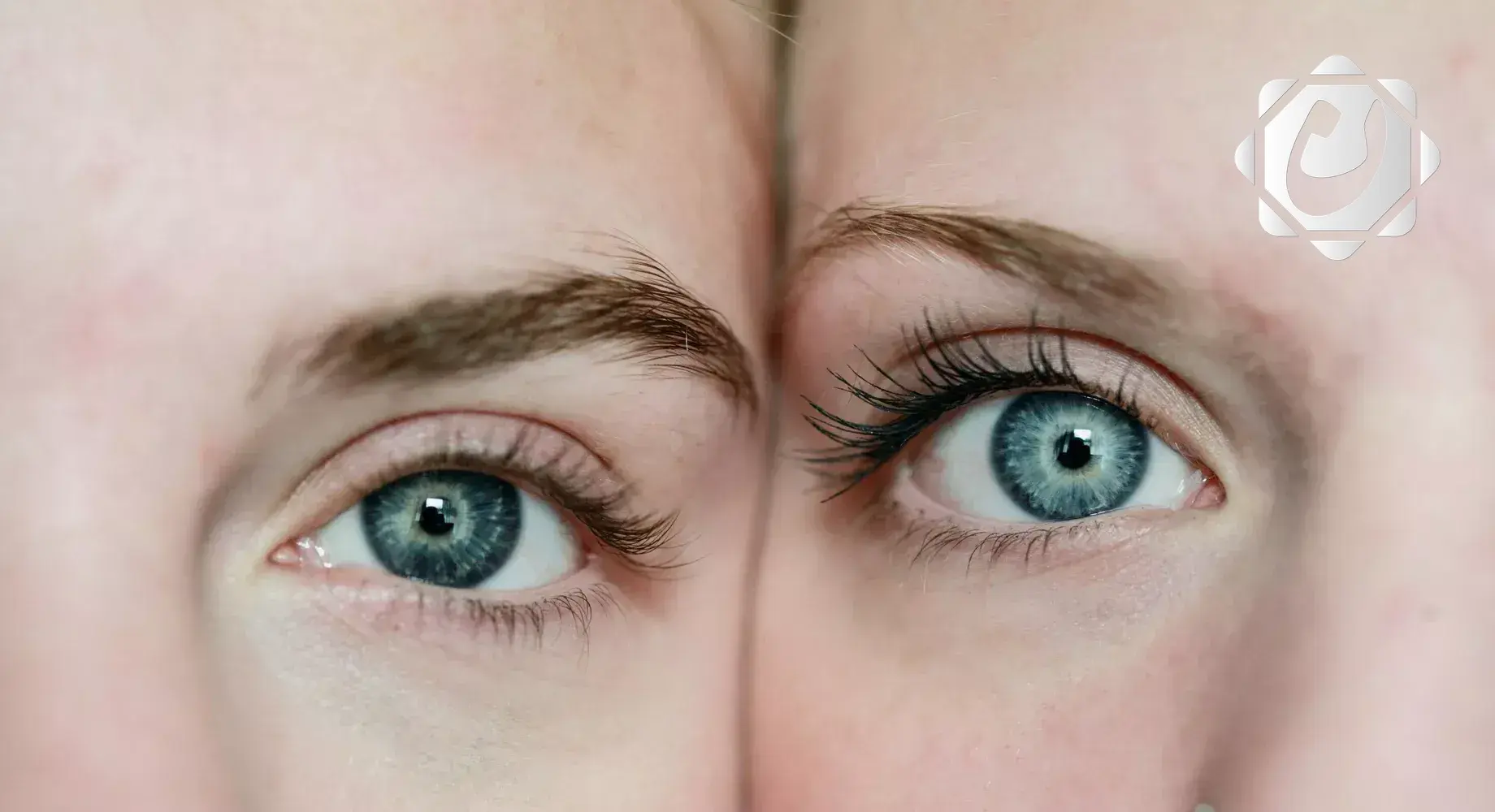 اكتشاف علاج واعد لاستعادة البصر من خلال ترميم الشبكية