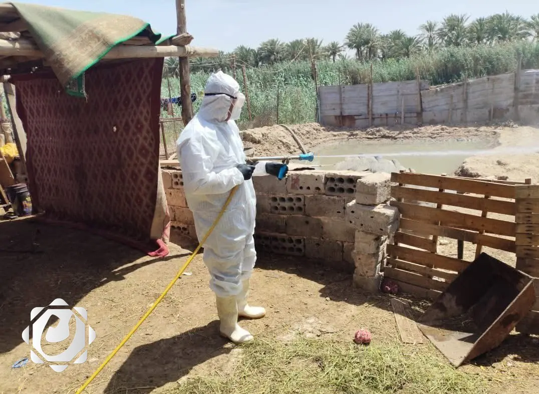 بيطرة ذي قار: لا وفيات بين الكوادر الصحية بسبب الحمى النزفية