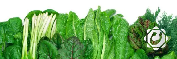 البقدونس: خضار سحري لصحة كبار السن