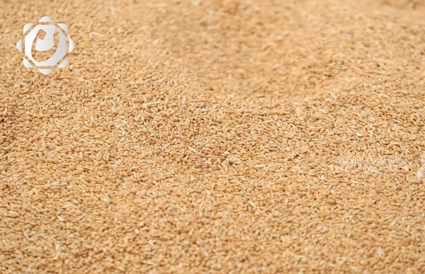 العراق يطلق مبادرة عربية لتعزيز الأمن الغذائي من الحبوب