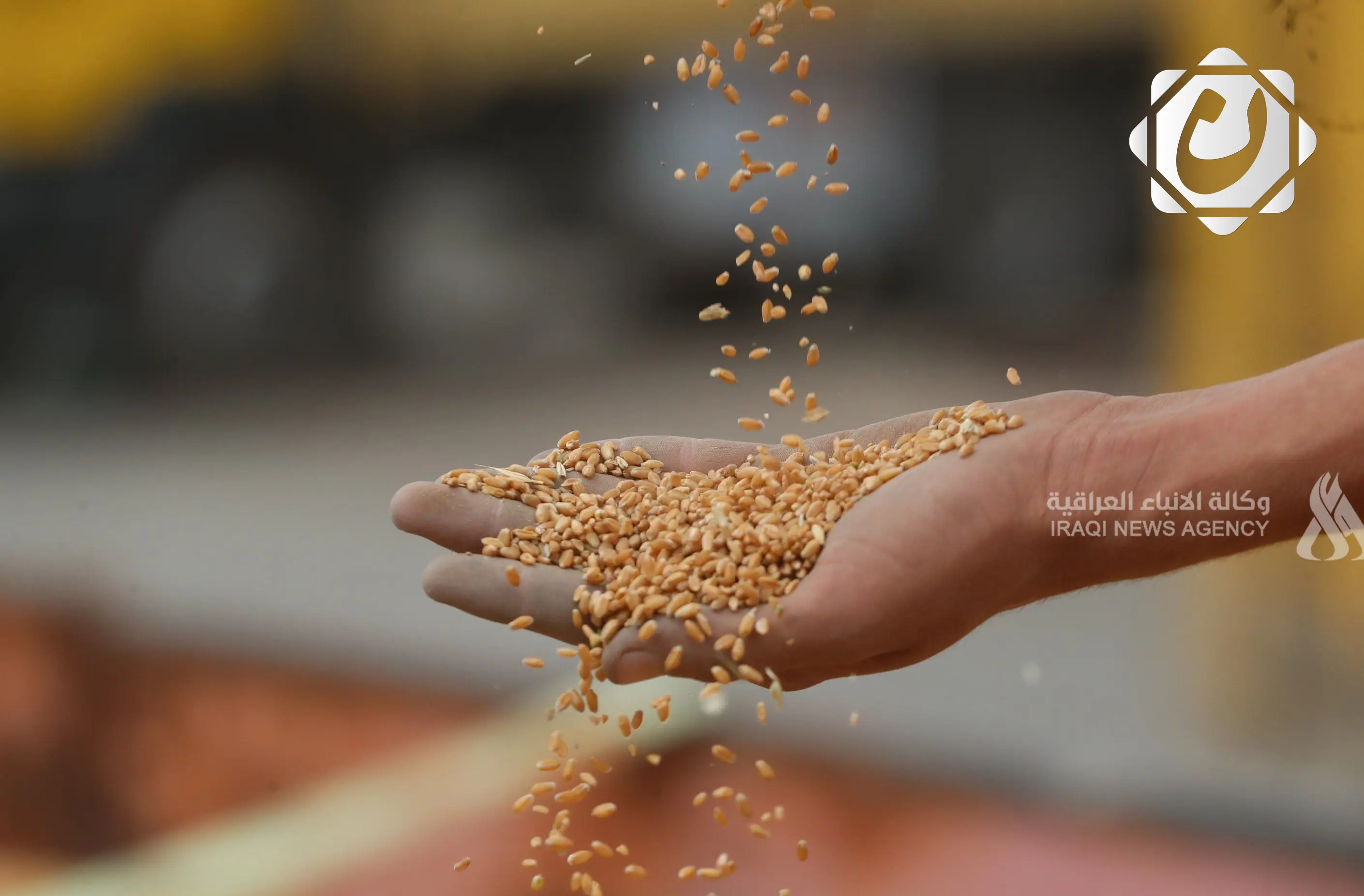 كركوك تعلن انطلاق موسم تسويق الحنطة الأحد المقبل